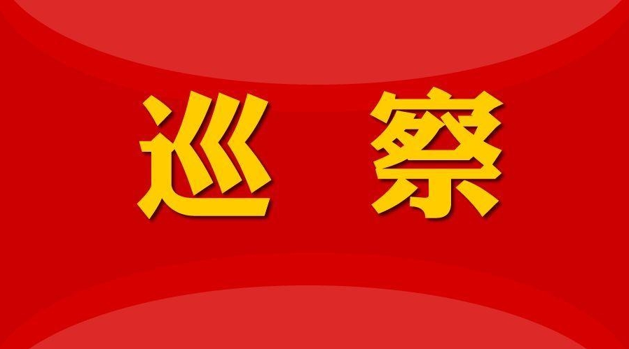 中共溫州市國資委委員會關于十三屆市委第四輪巡察整改進展情況的通報